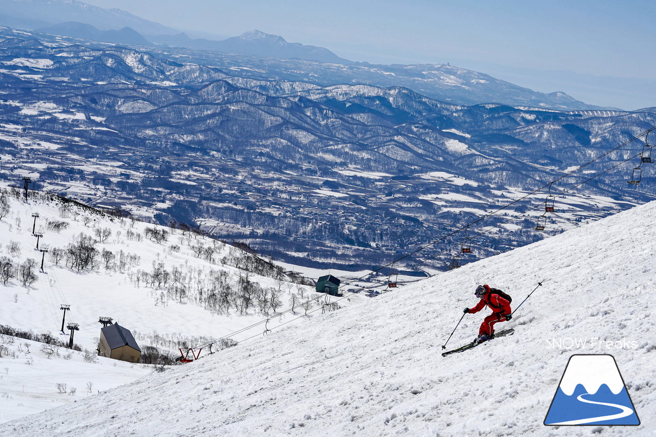 ニセコグラン・ヒラフ DYNASTAR SKI TEST RIDE DAYS Photo Session!!最高の天気に恵まれたニセコに、最高の仲間たちが集まりました☆